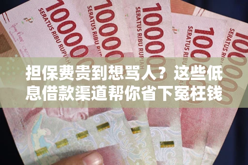 济南担保费贵到想骂人？这些低息借款渠道帮你省下冤枉钱