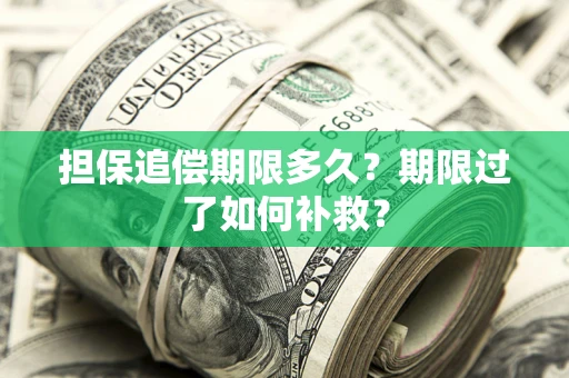 济南担保追偿期限多久？期限过了如何补救？