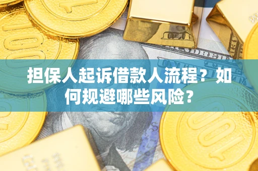 济南担保人起诉借款人流程？如何规避哪些风险？