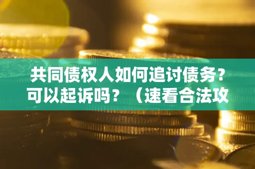 济南共同债权人如何追讨债务？可以起诉吗？（速看合法攻略）